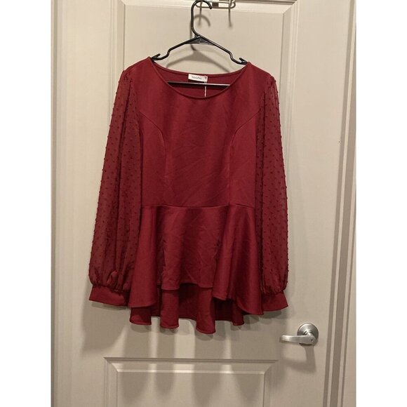 NWT Jasambac Maroon Swiss Dot Dress Top 2X - Picture 1 of 8